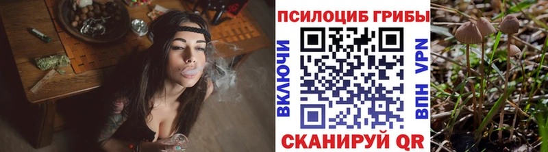 Псилоцибиновые грибы Cubensis  Светлогорск 